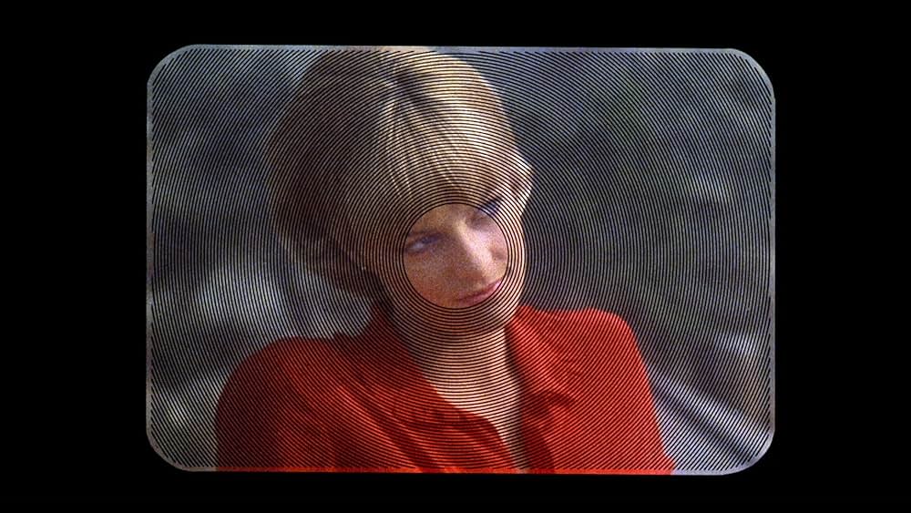 ゾンゲリアの画像