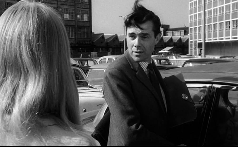 ダーリングの画像