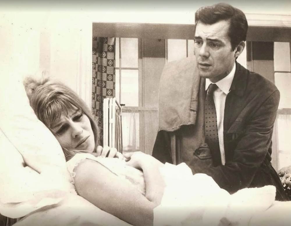 ダーリングの画像