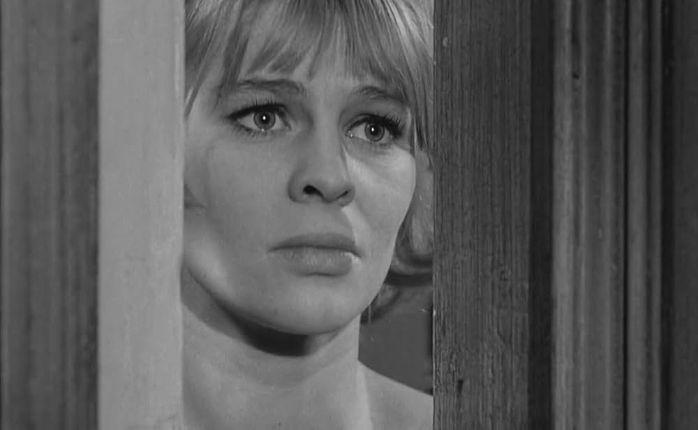 ダーリングの画像