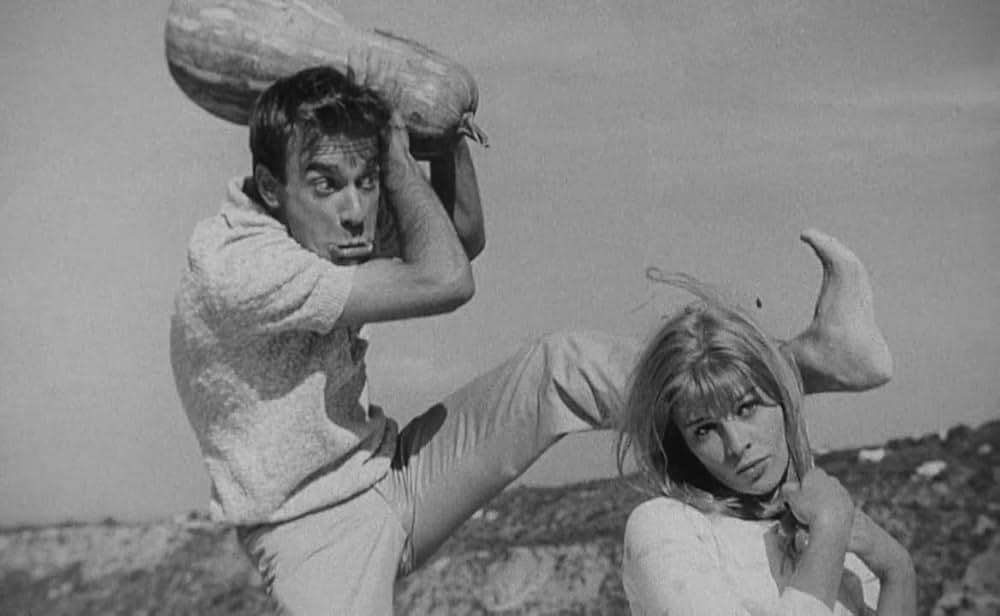 ダーリングの画像