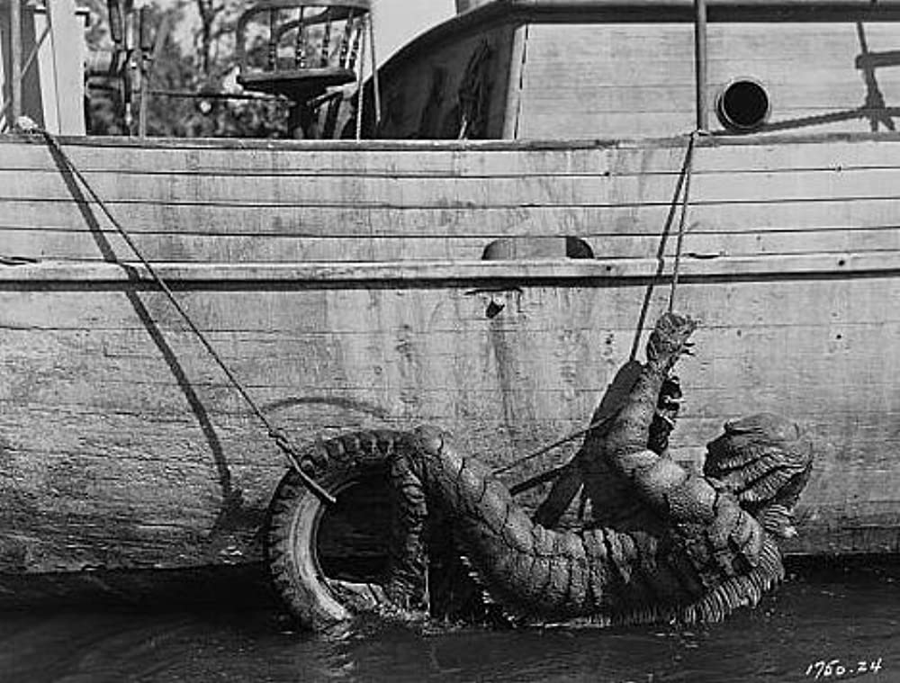 大アマゾンの半魚人の画像