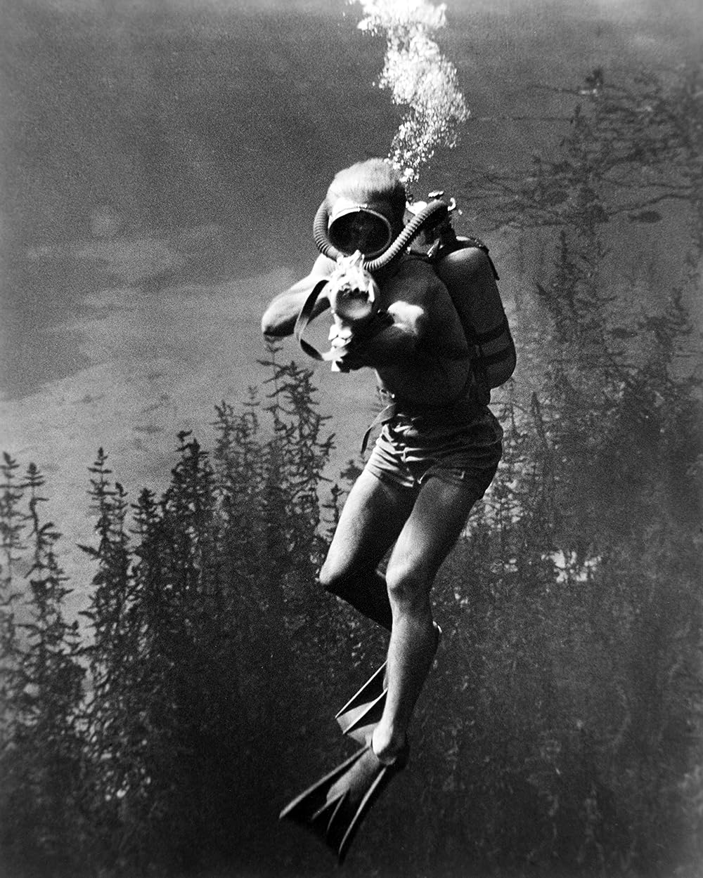 大アマゾンの半魚人の画像