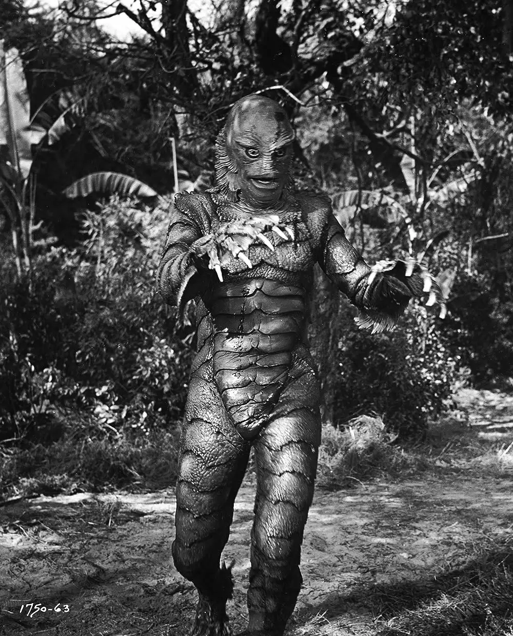 大アマゾンの半魚人の画像