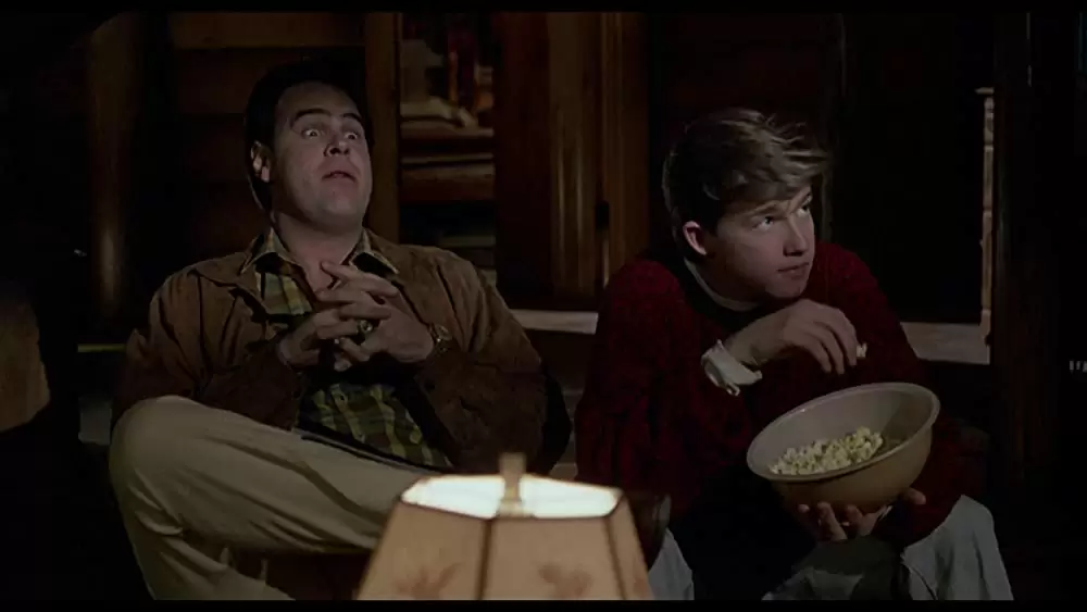 「大混乱」ダン・エイクロイド & クリス・ヤングの画像