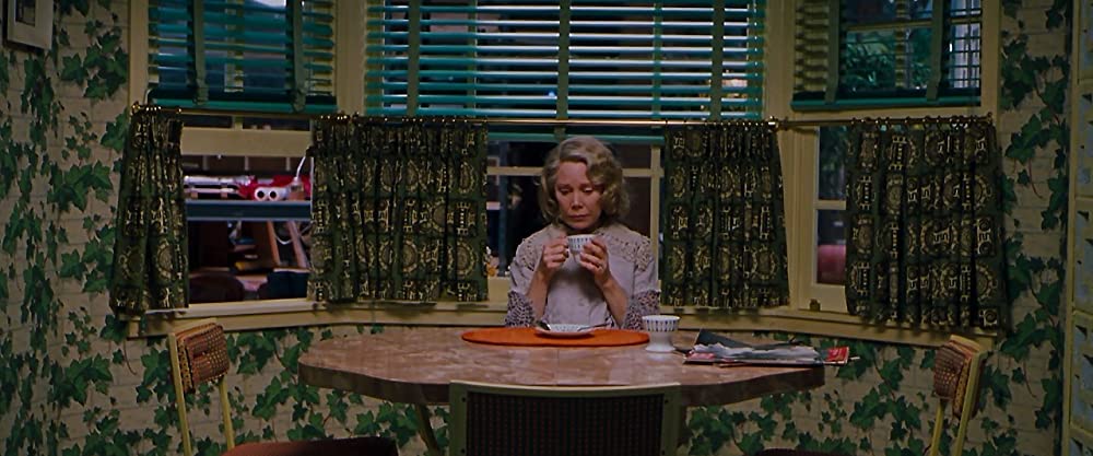 タイムトラベラー／きのうから来た恋人の画像