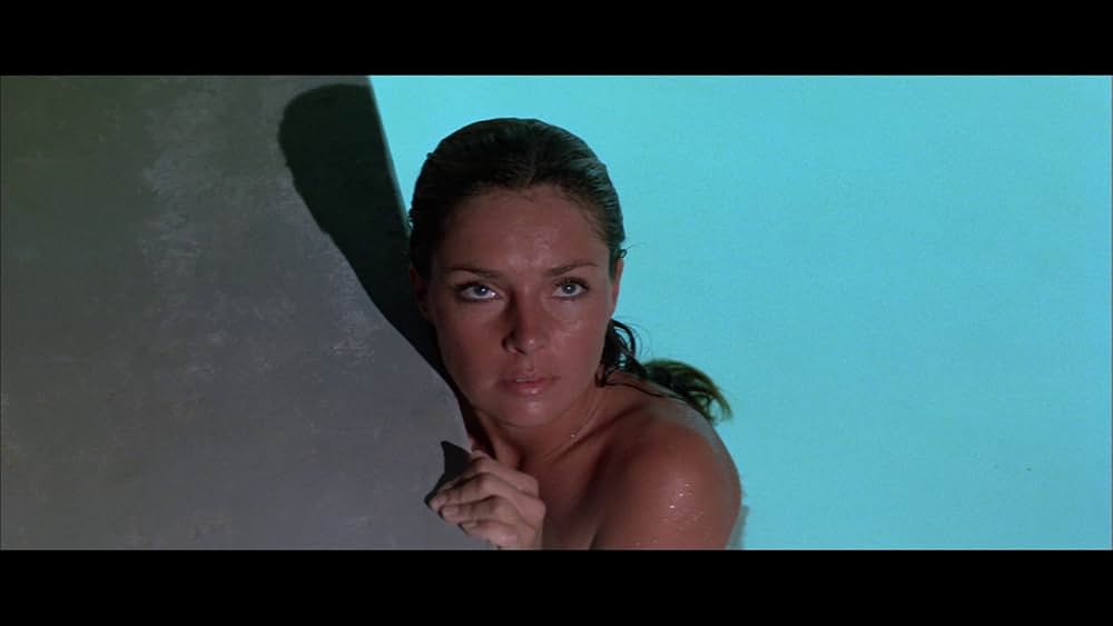 ダイヤモンド・コネクションの画像