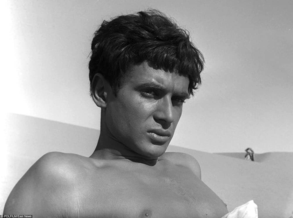 太陽の王子ファラオの画像