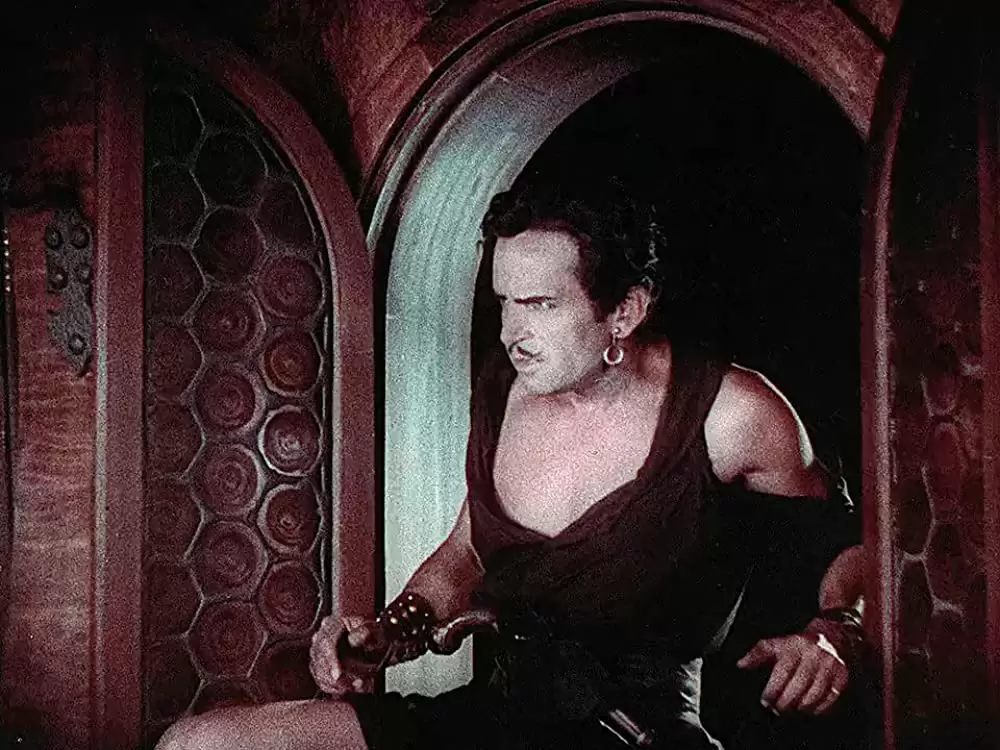 「ダグラスの海賊」ダグラス・フェアバンクスの画像