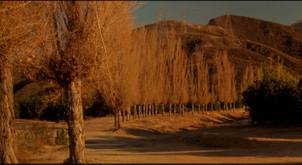 黄昏のチャイナタウンの画像