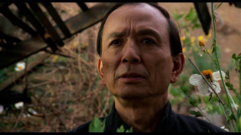 黄昏のチャイナタウンの画像