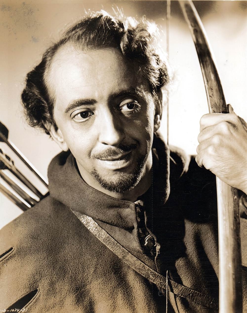 戦うロビン・フッドの画像