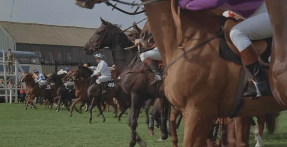 チャンピオンズの画像