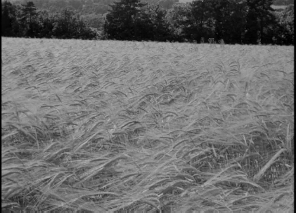 超音ジェット機の画像