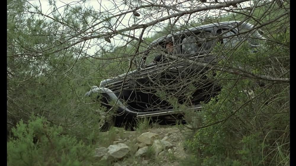 月の子どもの画像