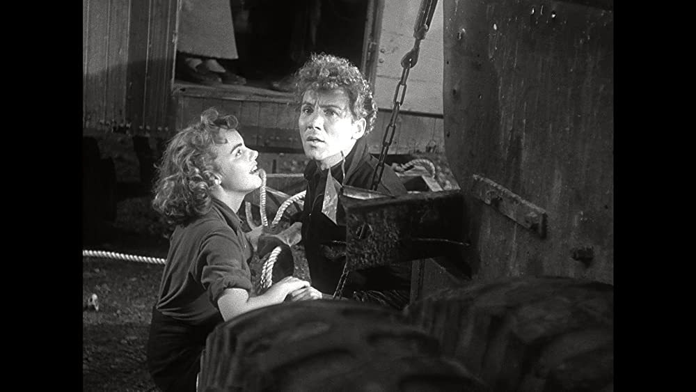 綱渡りの男の画像