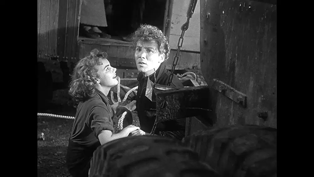 綱渡りの男の画像