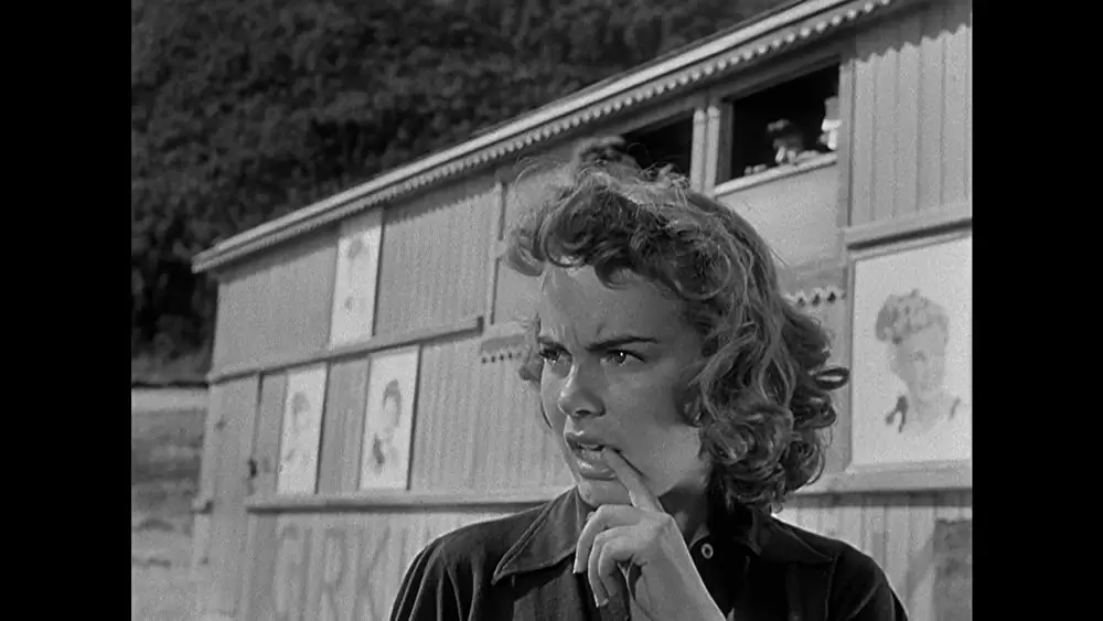 綱渡りの男の画像