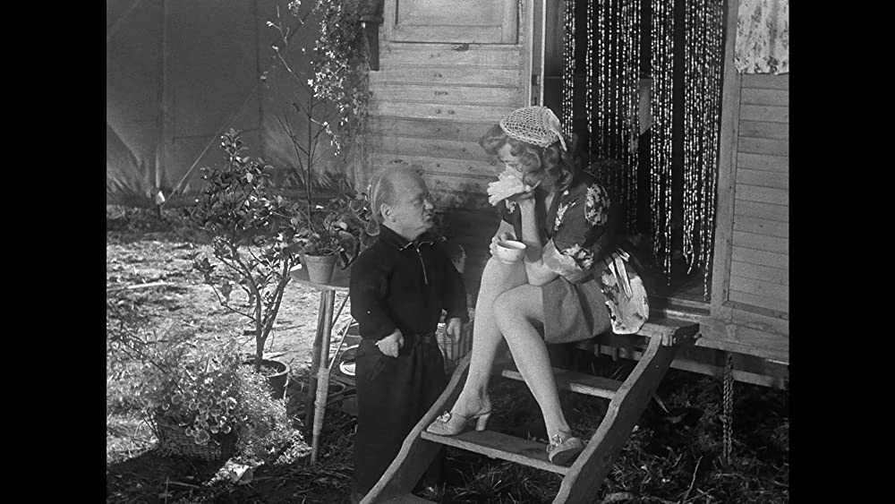 綱渡りの男の画像