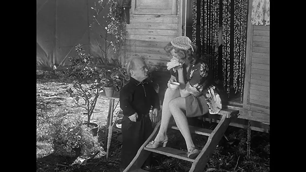 「綱渡りの男」グロリア・グレアムの画像