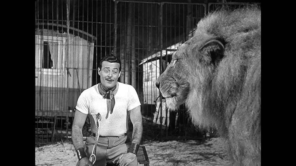 「綱渡りの男」アレクサンダー・ダーシーの画像