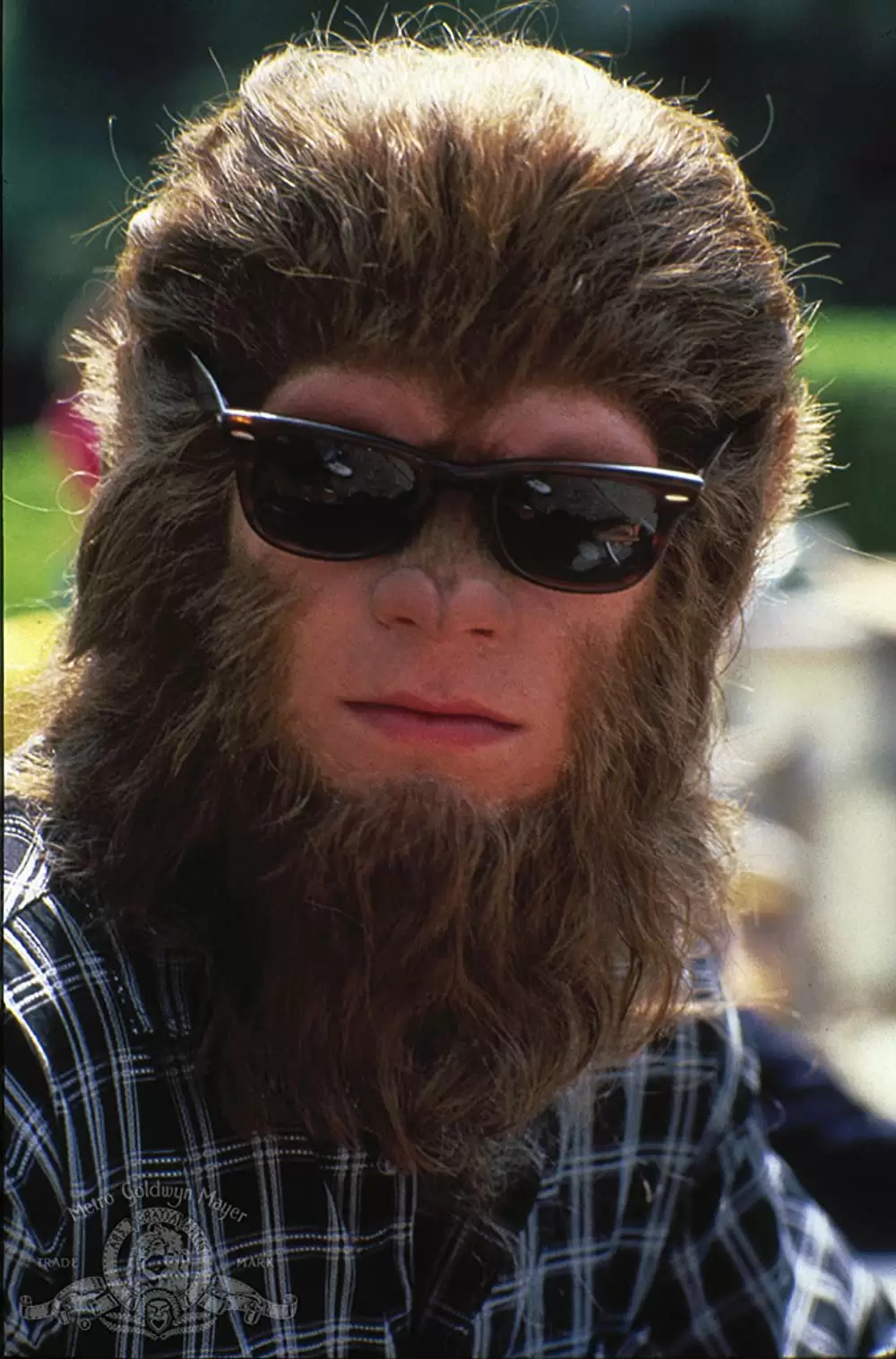 ティーン・ウルフ2 僕のいとこも狼だったの画像