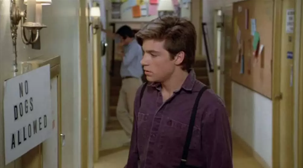 ティーン・ウルフ2 僕のいとこも狼だったの画像