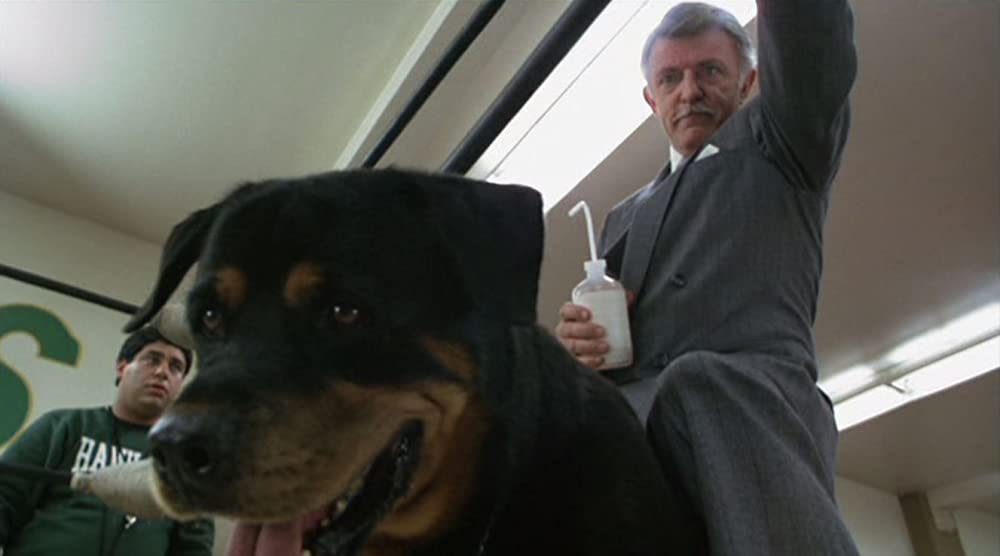 ティーン・ウルフ2 僕のいとこも狼だったの画像