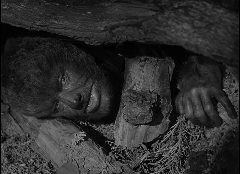 凸凹フランケンシュタインの巻の画像