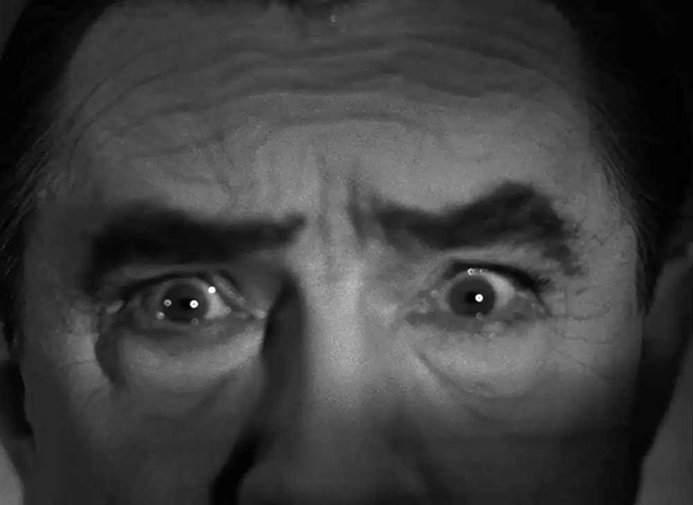 「凸凹フランケンシュタインの巻」ベラ・ルゴシの画像