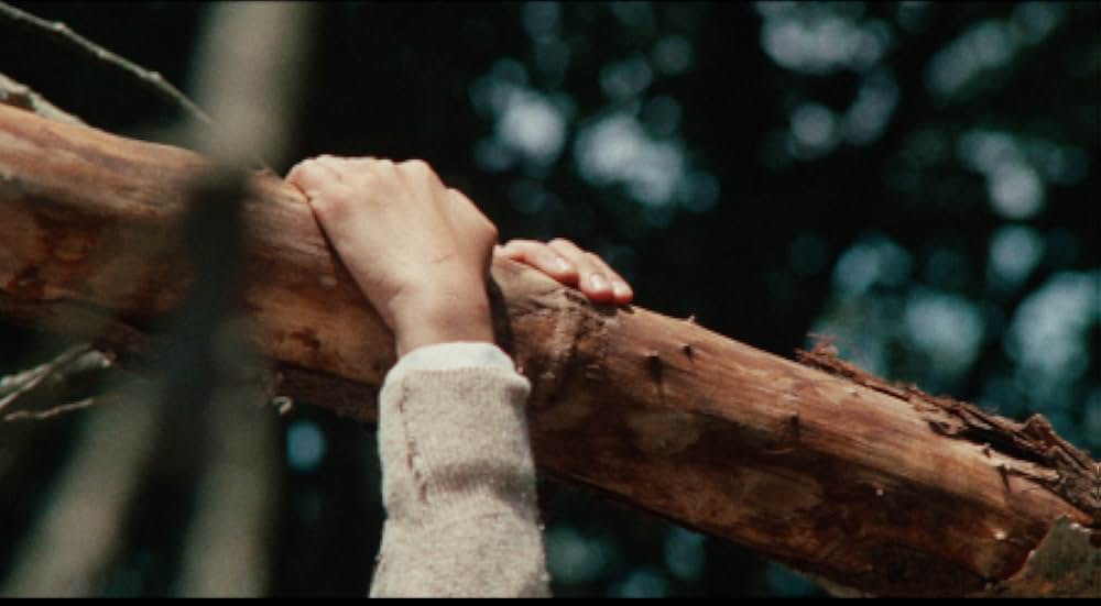 天使の詩の画像