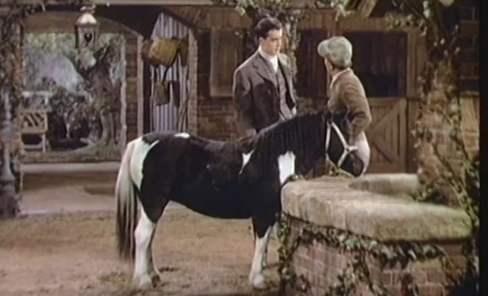 テンプルちゃんの小公女の画像