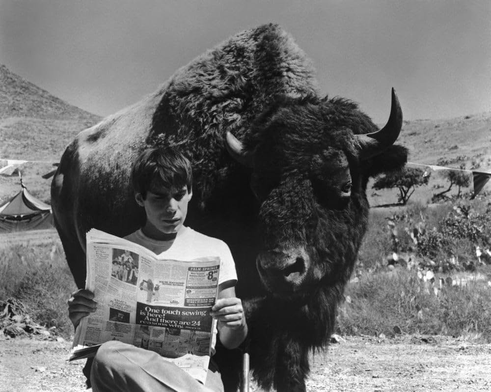 動物と子供たちの詩の画像