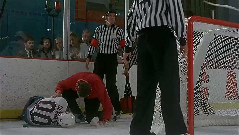 D3／マイティダックスの画像