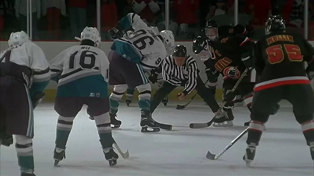 D3／マイティダックスの画像