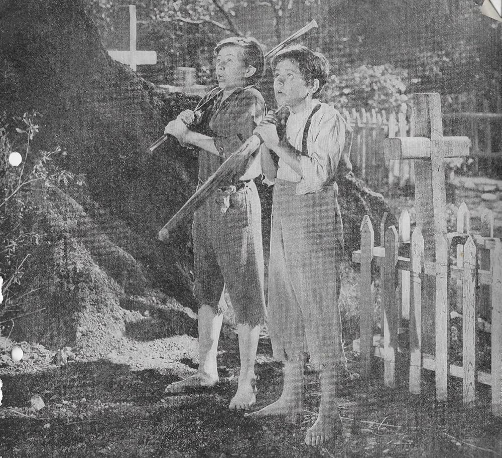 トム・ソーヤの冒険の画像