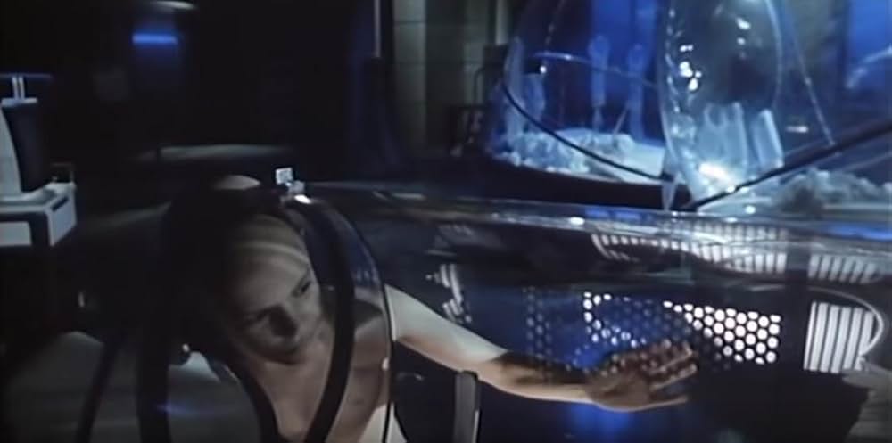 トムとローラの画像