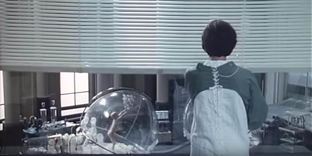 トムとローラの画像