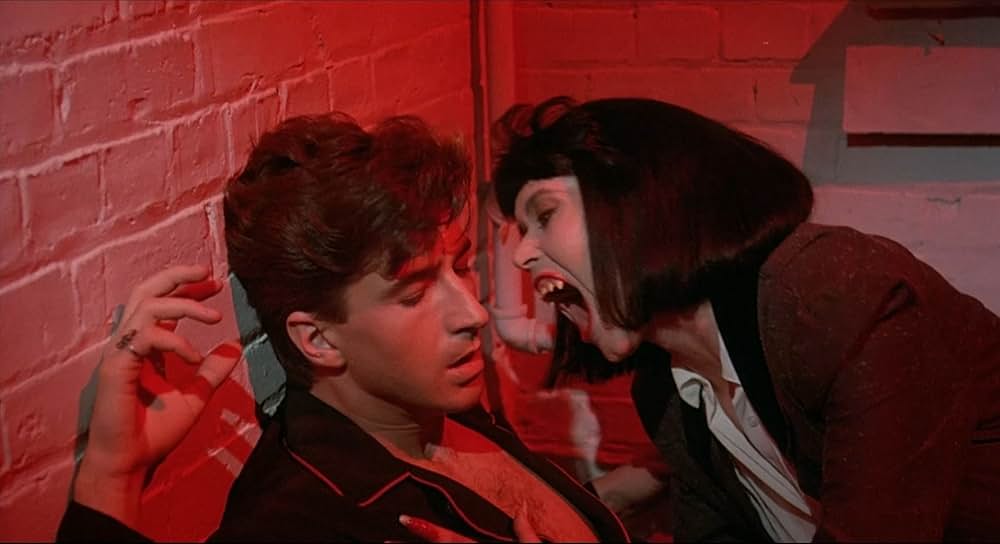 ドラキュラ・ウィドーの画像