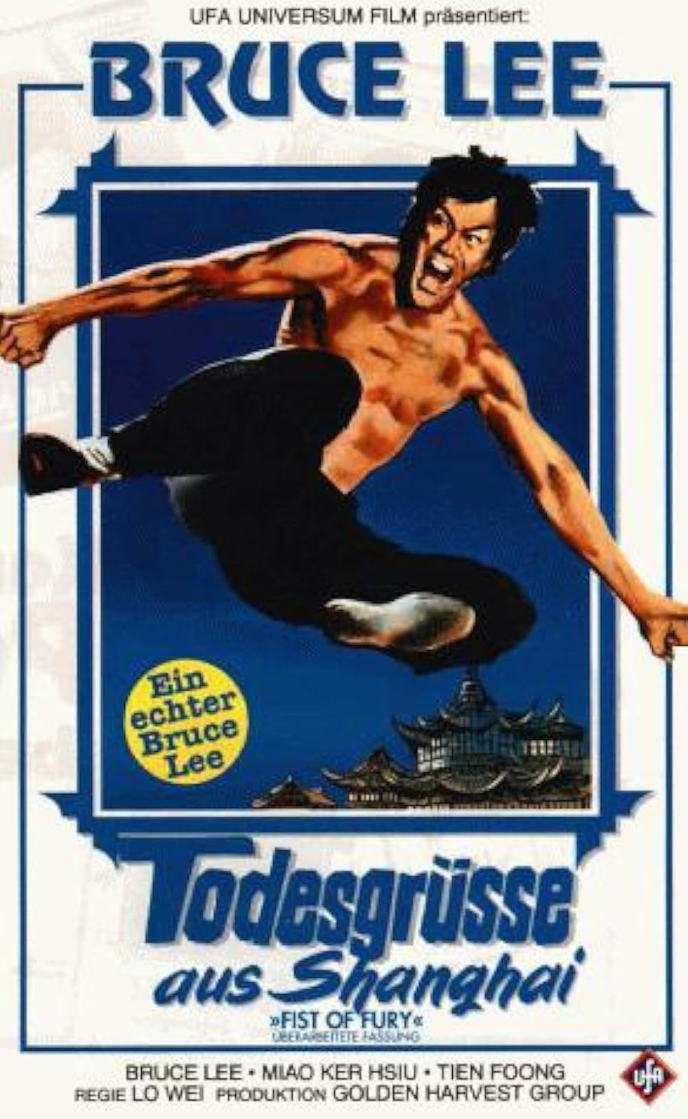 ドラゴン怒りの鉄拳の画像