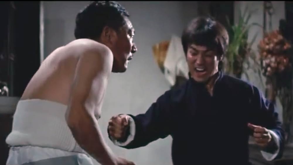 ドラゴン怒りの鉄拳の画像