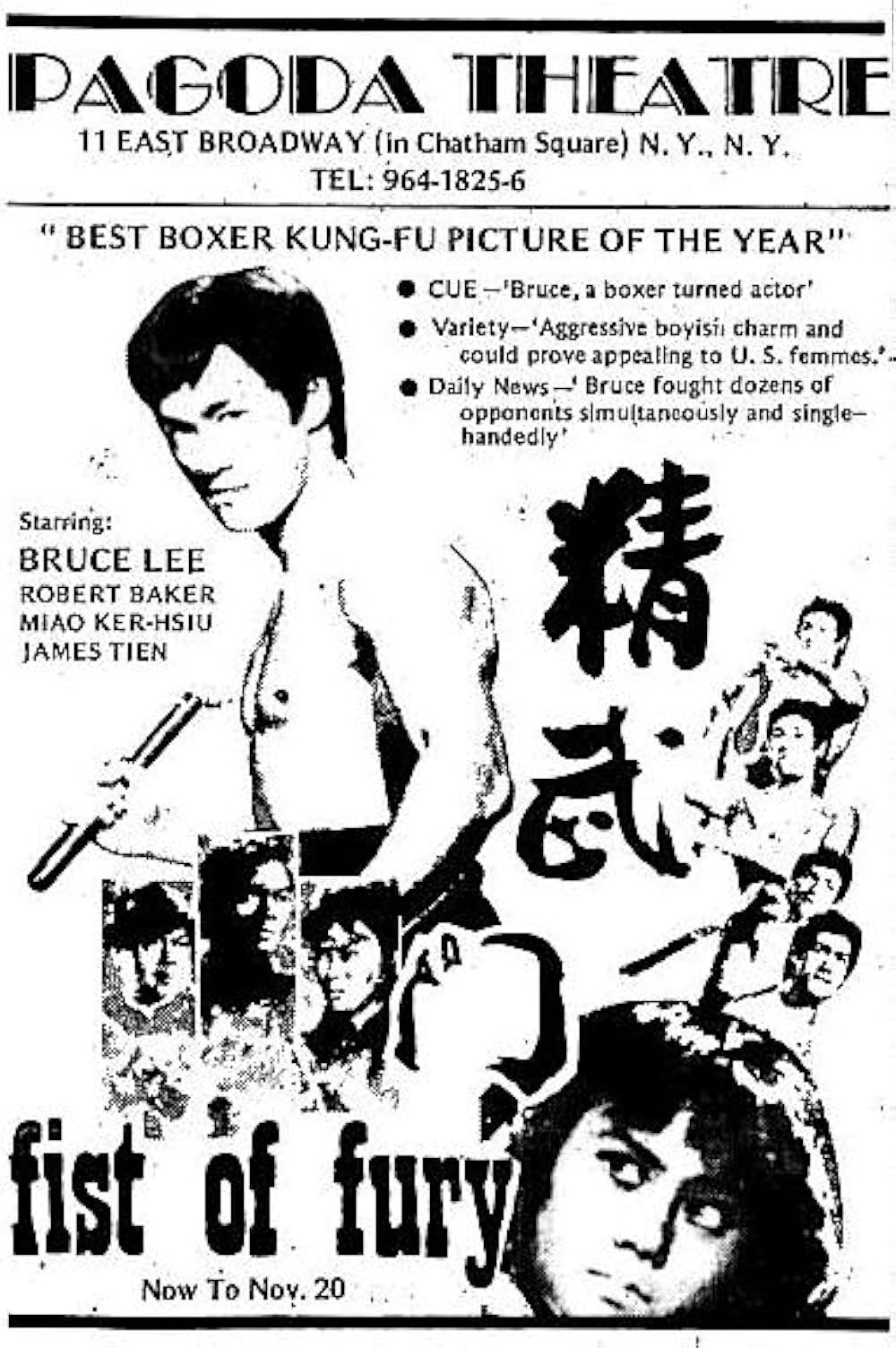 ドラゴン怒りの鉄拳の画像