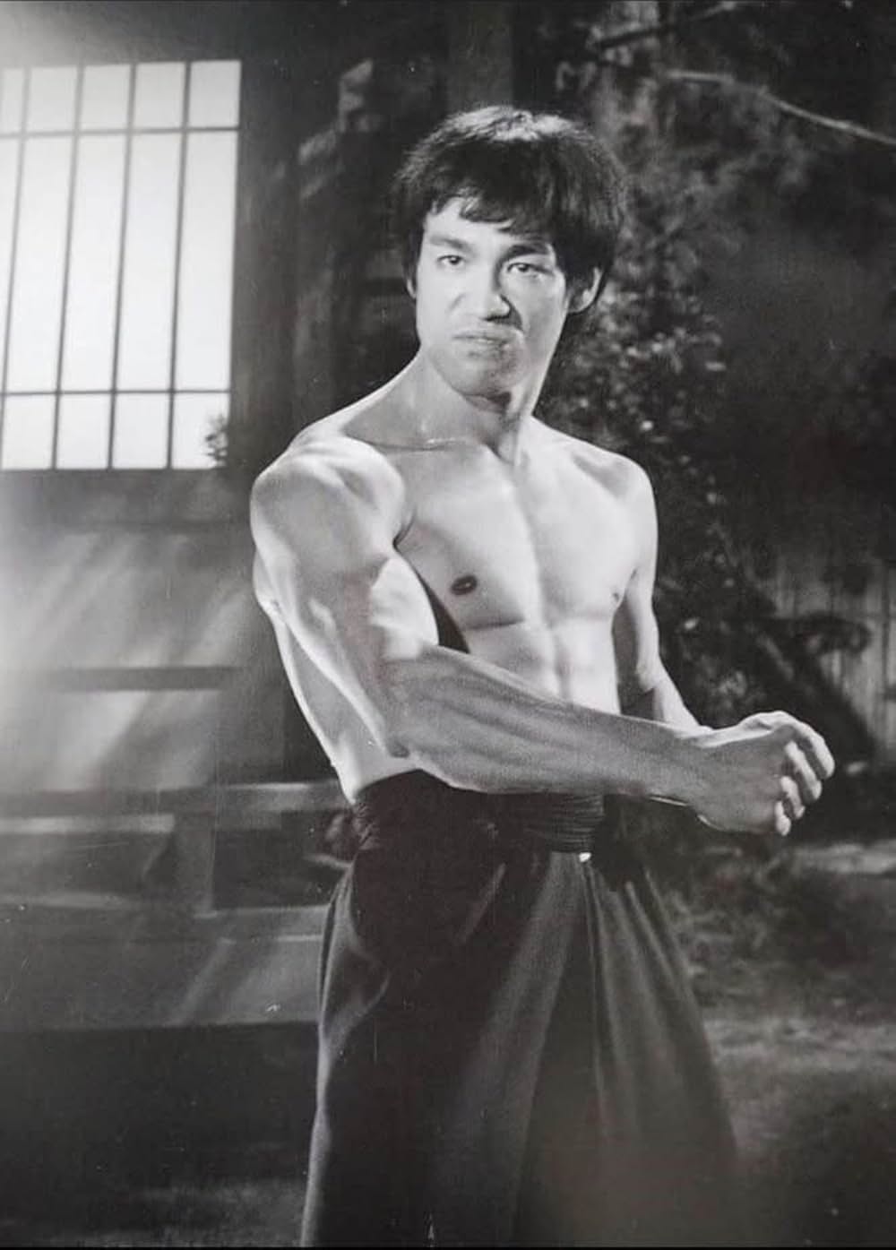 「ドラゴン怒りの鉄拳」の画像