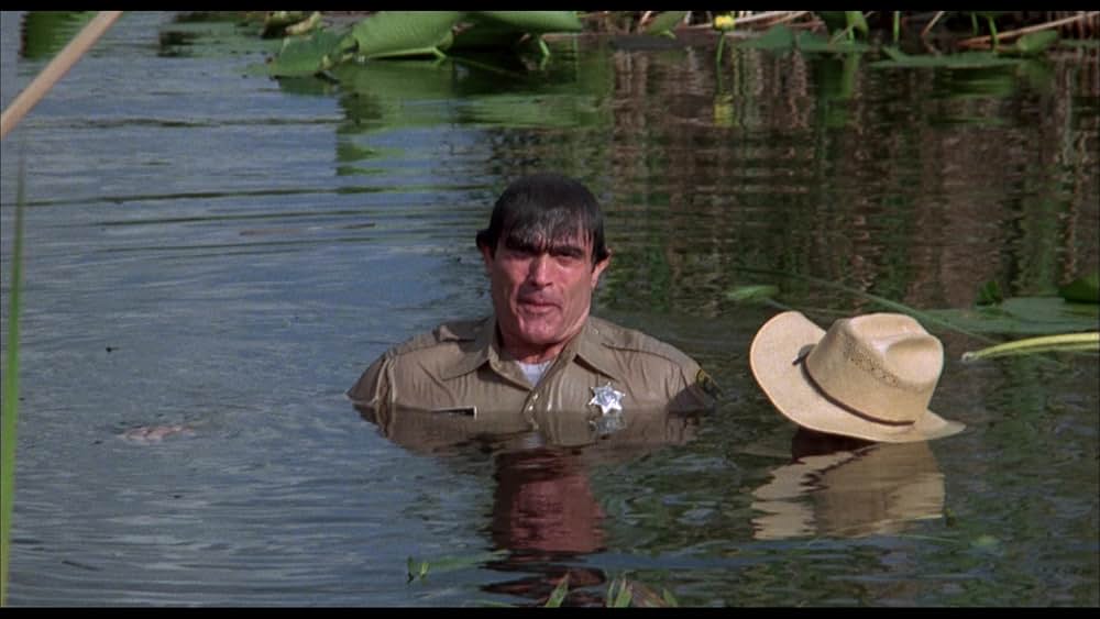 トランザム7000VS激突パトカー軍団の画像