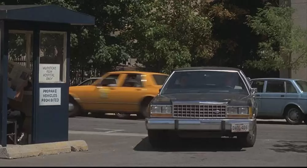 ドリーム・チームの画像