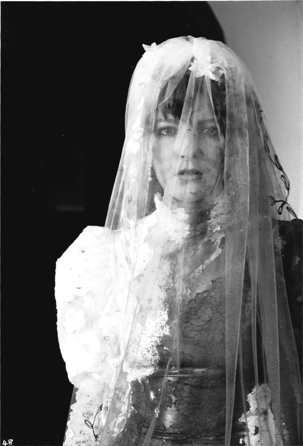 ドリームデーモンの画像