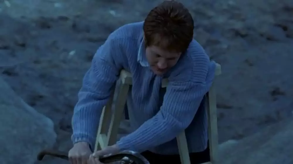 ドリフトウッド／硝子の檻の画像