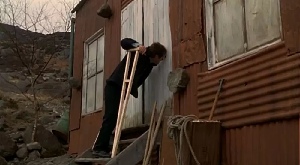 ドリフトウッド／硝子の檻の画像