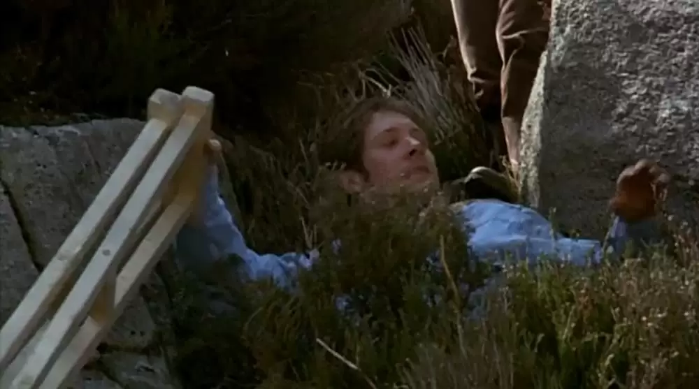 ドリフトウッド／硝子の檻の画像