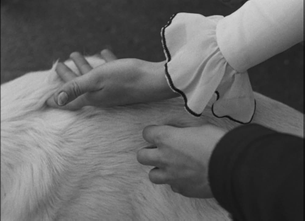 長い見送りの画像